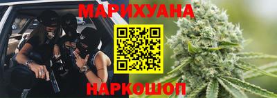 гидра Гай