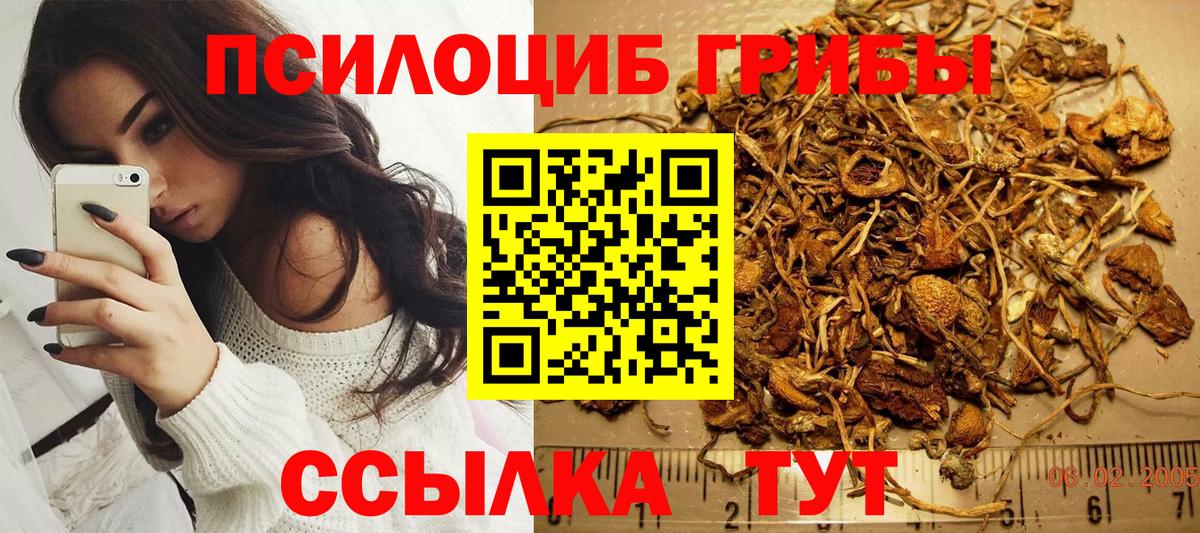 Псилоцибиновые грибы прущие грибы Лосино-Петровский