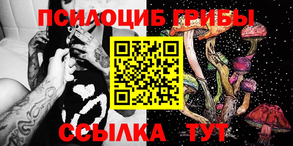Лосино-Петровский  Псилоцибиновые грибы мухоморы  Вход с VPN 